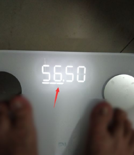 这个时候就可以看到体重的得分,往下滑就可以看到体脂了.