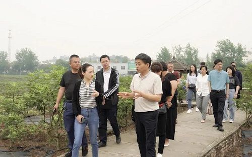 隆昌石燕桥镇