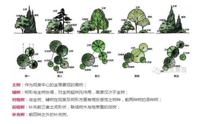 植物配置平面图