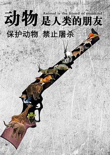 保护动物的唯美标语保护动物