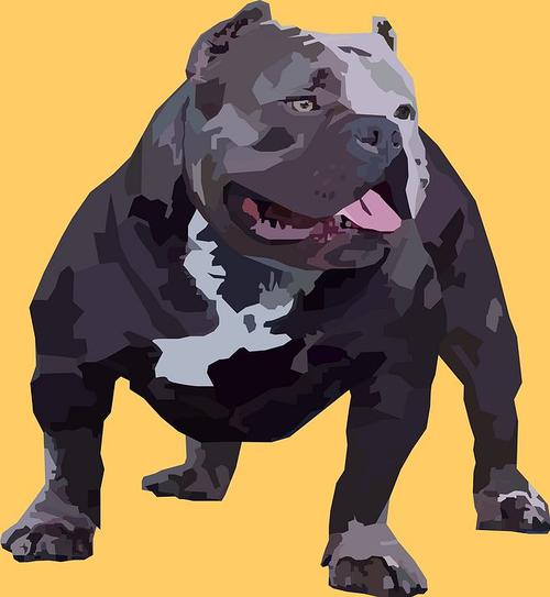 美国恶霸犬