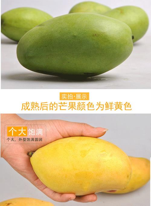 越南芒果高乐蜜黄金芒果热带新鲜水果类甜心芒果装整箱批发非贵妃 买5
