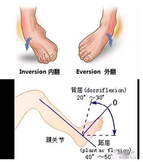 江亚 文章列表 踝关节背屈运动(上图)     1)坐位或卧位,用布条,毛巾