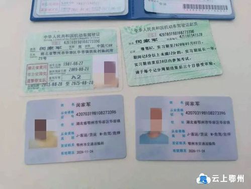 该驾驶人的道路危险货物运输从业资格证,道路危险货物运输押运员证