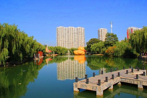 定州"中山公园"风景小片