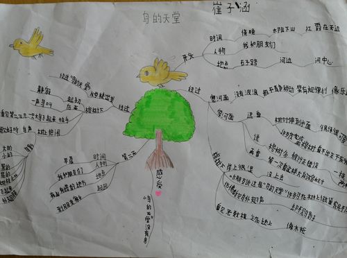 《鸟的天堂》思维导图集