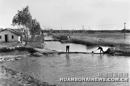 1979年的春天,我们分队被调往唐山的柏各庄农场种水稻,这一下那里