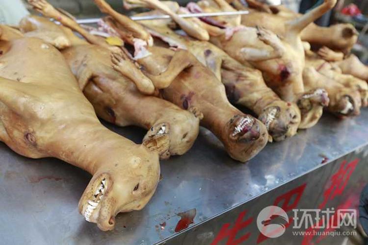 广西玉林狗肉节低调中举行 尽量避免当街杀狗画面