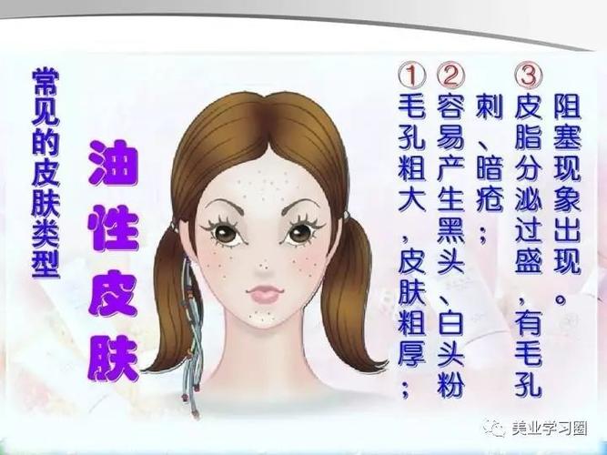 【皮肤知识】皮肤分类及特征