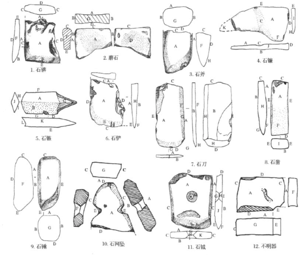 磨制石器类型学的分类原则与术语界定――以大辛庄商代石器为例