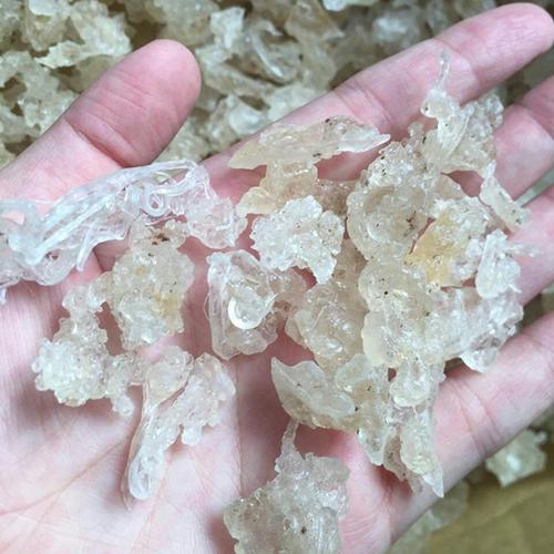 批发特级拉丝雪燕 缅甸***雪燕植物燕窝100克包邮 诚招.