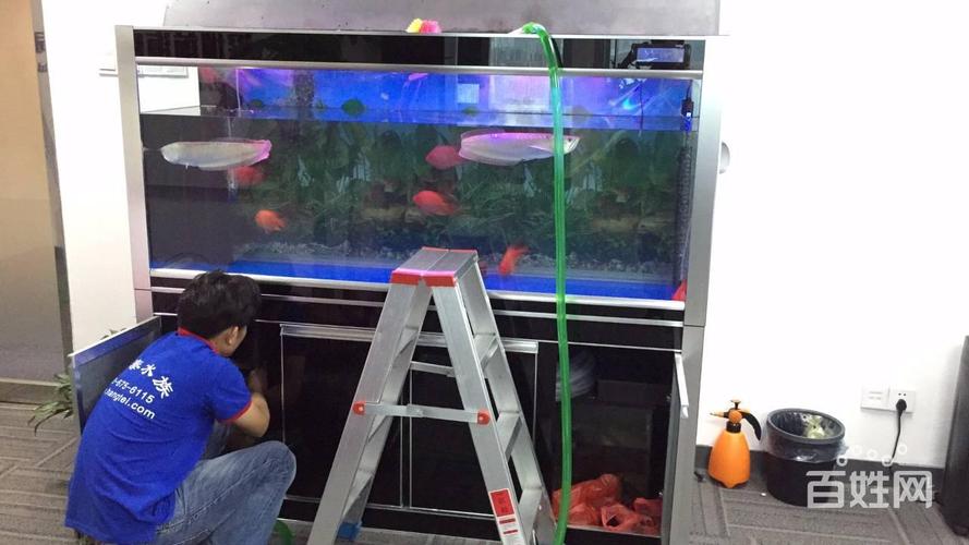 龙岗周边鱼缸漏水维修,过滤器材出售,鱼缸清洗换水