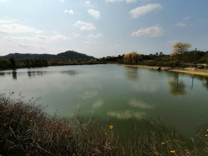 广州花都竹洞村 - 美篇