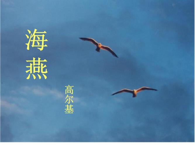 海燕课件.ppt