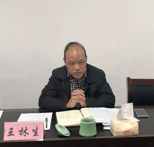 王林生点评