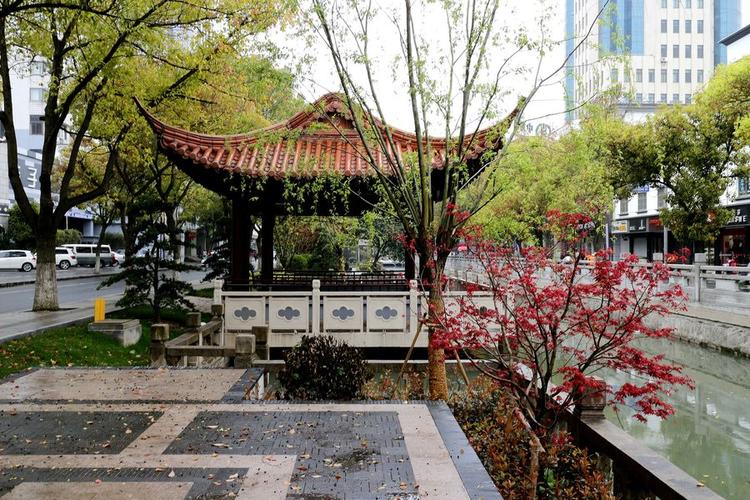 雨后的街心花园