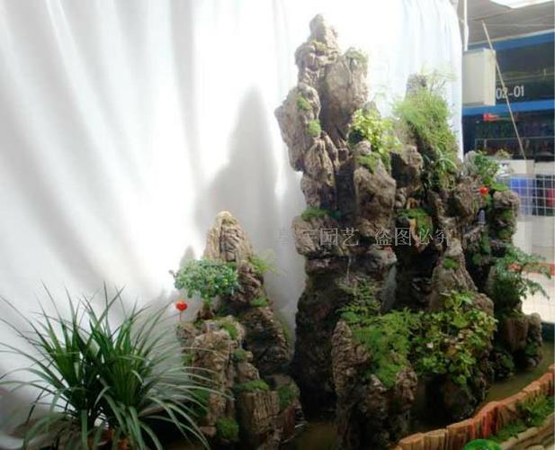 热卖假山草籽草种子上水石吸水石奇石盆景植物圆叶草三叶草混装微景观