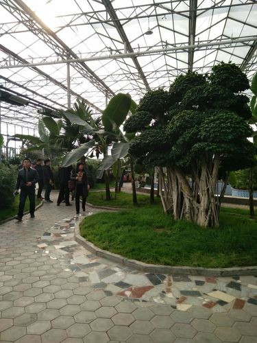 美丽神农生态园,魅力热带植物园