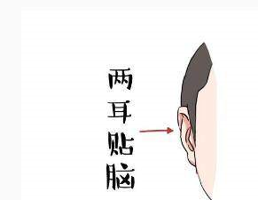 天生好命的4种耳朵,赚钱能力一流,福气伴身,锦衣玉食