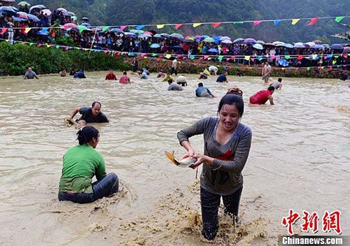 广西龙胜群众比赛"浑水摸鱼"