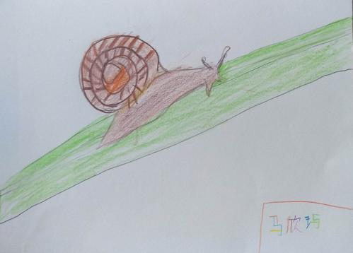 炮厂小学一二年级彩铅画作品展示