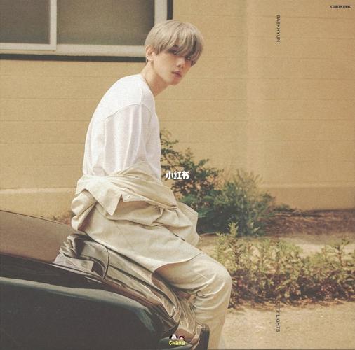 exo边伯贤|un village bolo1扫图_exo_边伯贤_village