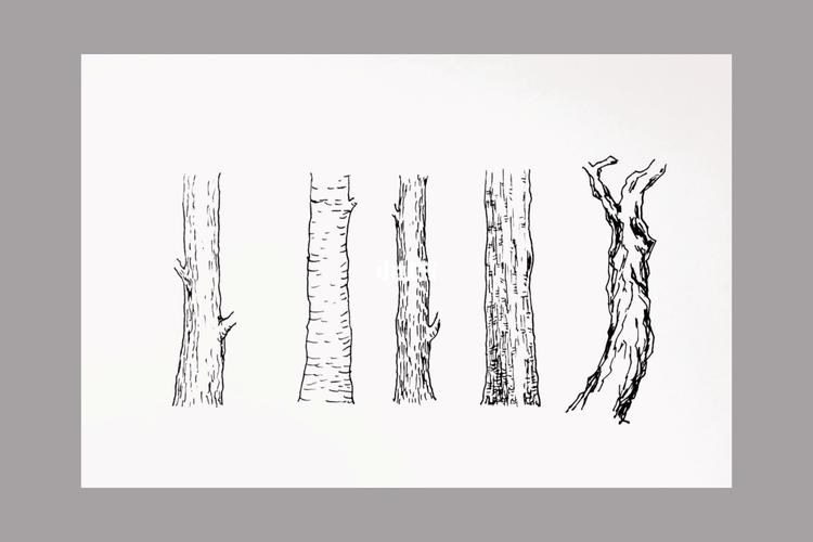 「169」学习了几种树干纹理的画法_学习_钢笔_钢笔画