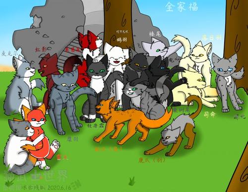 电心的枝条 - 猫武士世界