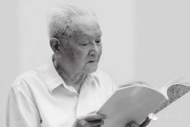 李文采:追求卓越的冶金人生