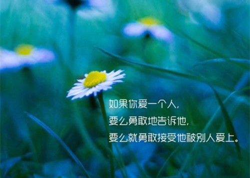 唯美伤感带字图片_爱情自有天意