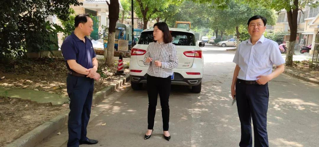 精美镇江 | 区领导督查"精美镇江"建设工作_陈静