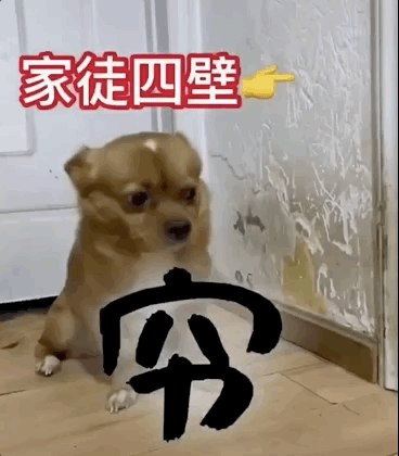 这货简直就是行走的表情包,随便一张视频截图就是一个经典.