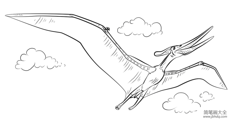翼龙的简笔画2