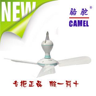 骆驼 吊扇