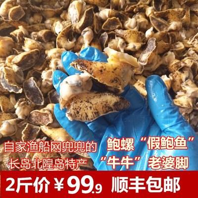 长岛海鲜北隍岛海牛牛肉鲍鱼螺肉黄金鲍老婆脚 捞汁麻辣海鲜原料