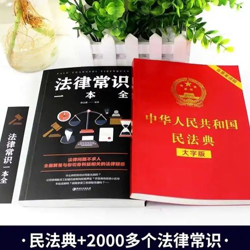 q【大字版】中华人民共和国民法典77法律常识一本全