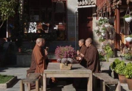它是中国最美尼姑庵,拜佛不烧香只种花,充满禅意和佛理