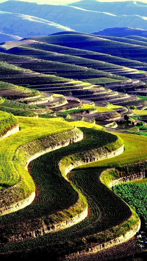壁纸 会宁梯田,农村,中国 2560x1600 hd 高清壁纸