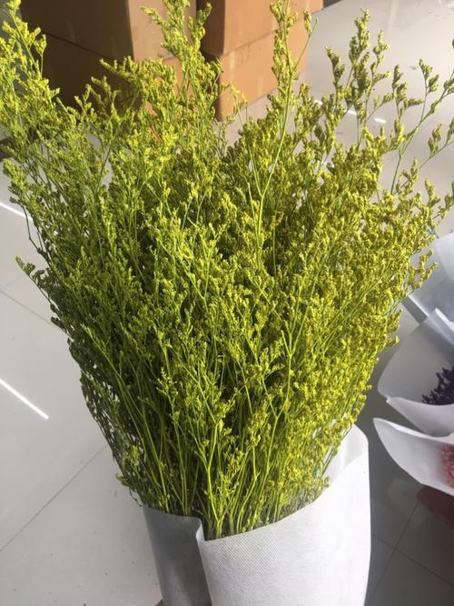 干花水晶草,情人草