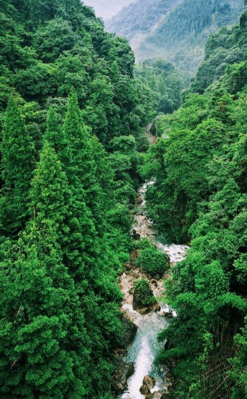 避暑耍水崇州九龙沟0元住网红酒店不限时畅泡无边森林泳池温泉成都