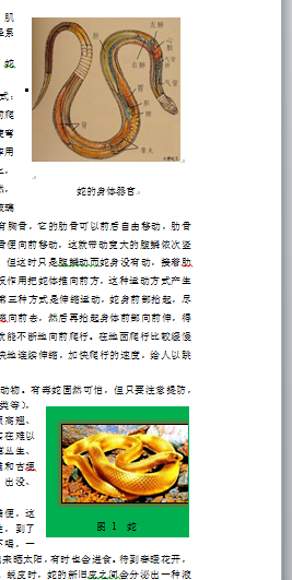 office2010word为图"蛇的身体器官"主设置题注"图1",使后面的图1自动