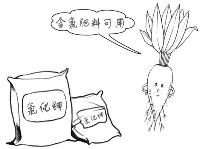含氯肥料在甜菜上能用吗?