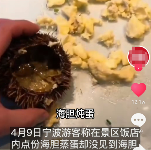 男子三亚吃海胆蒸蛋没有海胆:遭到店员威胁,派出所送回酒店