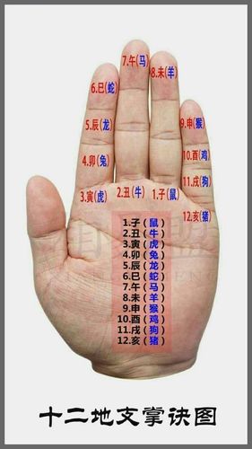 其它 十二生肖特点 写美篇 十二地支: 子丑寅卯辰巳午未申酉戌亥 十二
