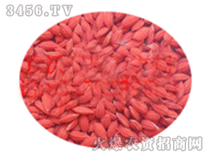 沃瑞康-种子包衣样品3