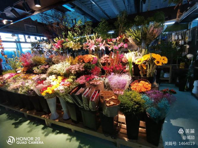 蟹岛国际花卉展