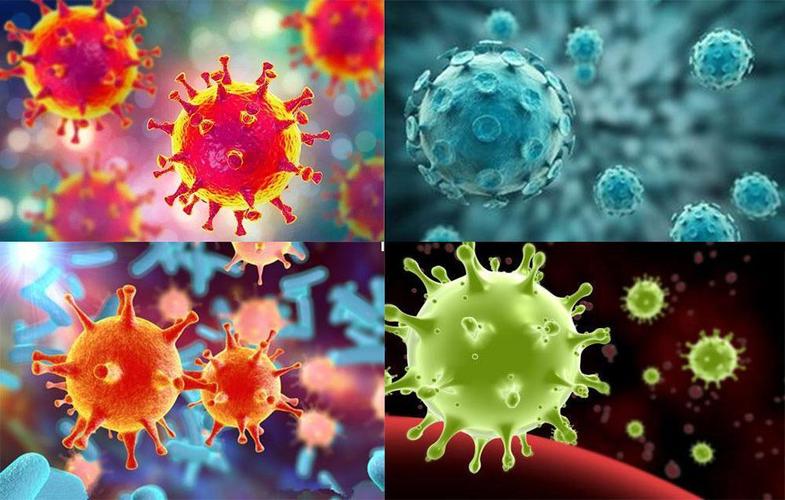 家园共育,抗击疫情 ——小天使幼儿园关于新冠病毒肺炎疫情期间,"停课