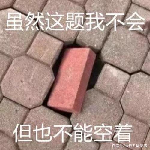 表情包:这题我不会,但也不能空着