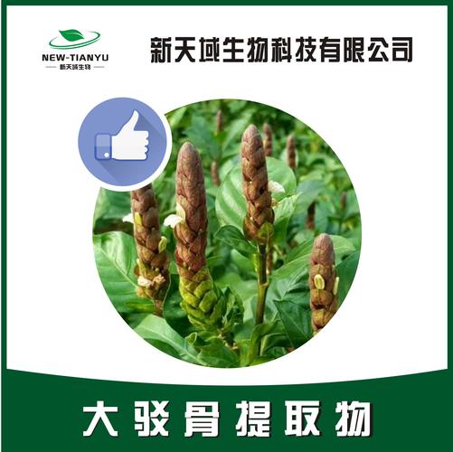 大驳骨提取物