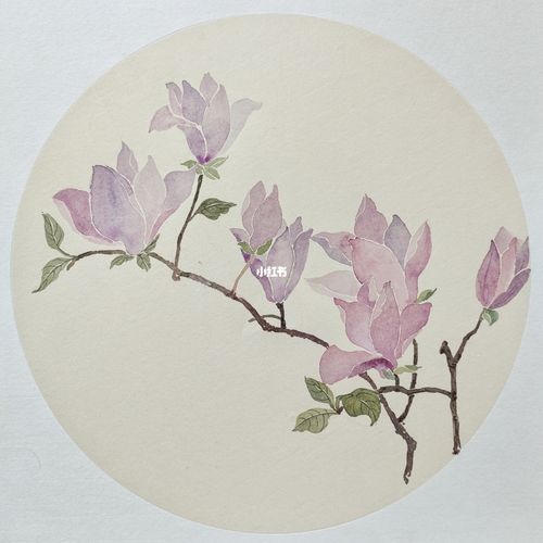 05没骨花卉|玉兰_花卉_没骨画_文化_绘画